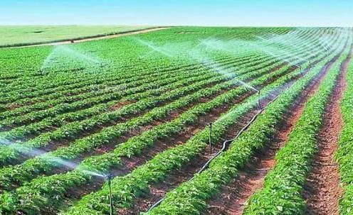 男人操B女人的视频农田高 效节水灌溉
